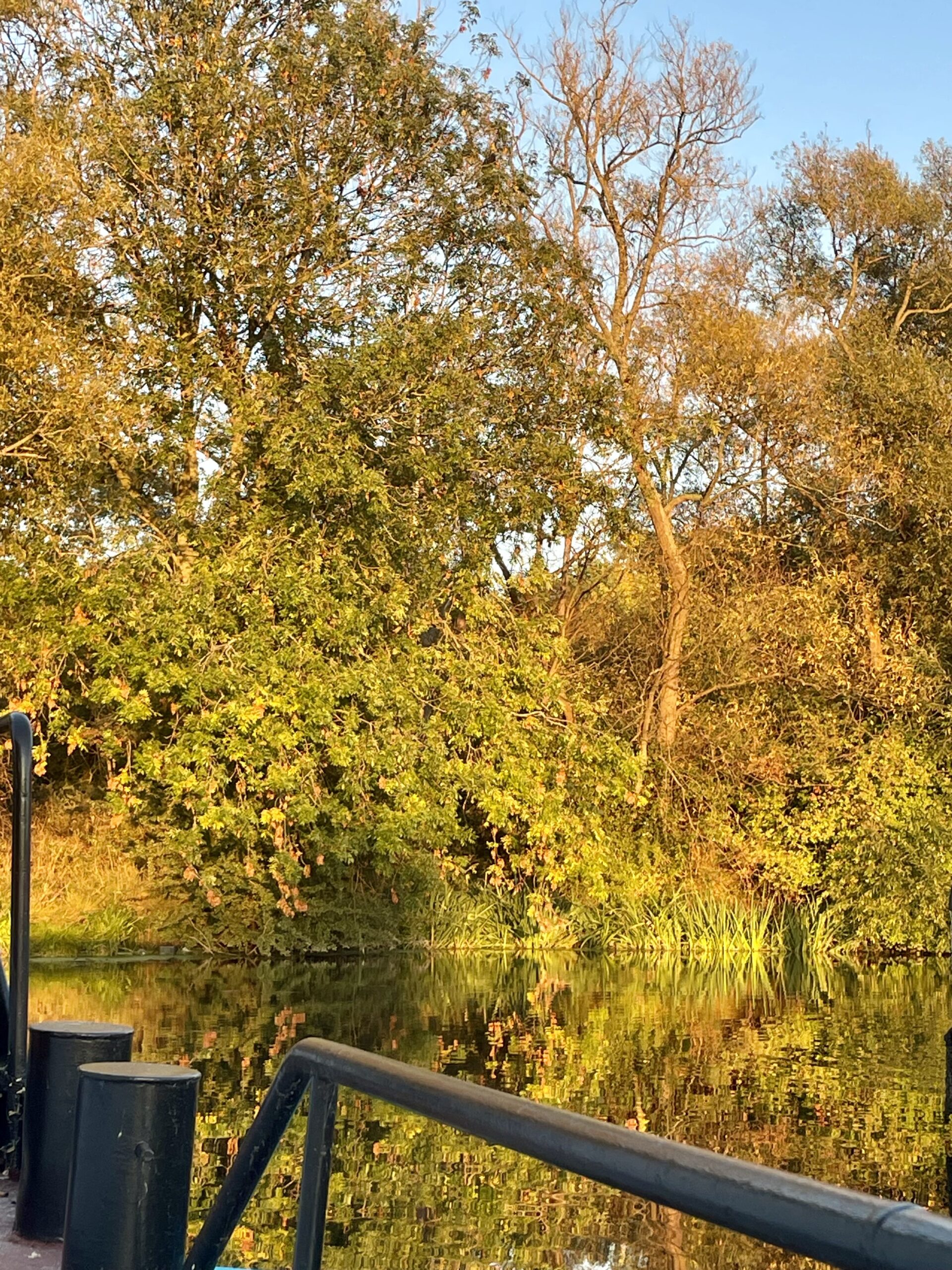 Experience a unique autumn stay aboard the Fat Panda Dutch barge in Caversham, with tranquil Thames reflections, golden trees, and a peaceful riverside escape perfect for weekend getaways.